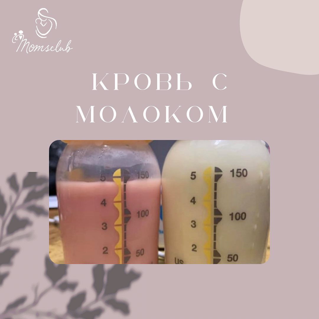 Кровь с молоком